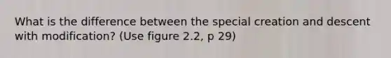 What is the difference between the special creation and descent with modification? (Use figure 2.2, p 29)