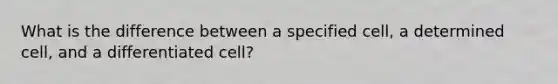 What is the difference between a specified cell, a determined cell, and a differentiated cell?