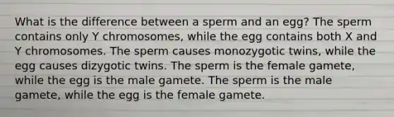 What is the difference between a sperm and an egg? The sperm contains only Y chromosomes, while the egg contains both X and Y chromosomes. The sperm causes monozygotic twins, while the egg causes dizygotic twins. The sperm is the female gamete, while the egg is the male gamete. The sperm is the male gamete, while the egg is the female gamete.