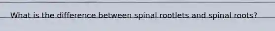 What is the difference between spinal rootlets and spinal roots?