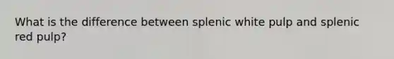 What is the difference between splenic white pulp and splenic red pulp?