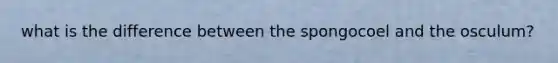 what is the difference between the spongocoel and the osculum?