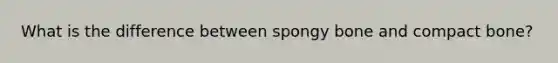 What is the difference between spongy bone and compact bone?