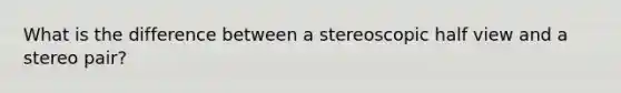 What is the difference between a stereoscopic half view and a stereo pair?