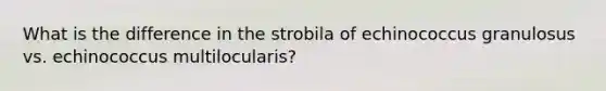 What is the difference in the strobila of echinococcus granulosus vs. echinococcus multilocularis?