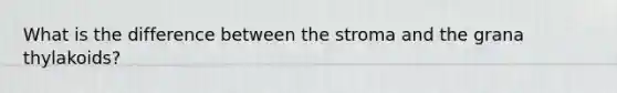 What is the difference between the stroma and the grana thylakoids?