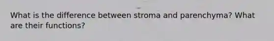 What is the difference between stroma and parenchyma? What are their functions?