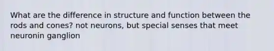 What are the difference in structure and function between the rods and cones? not neurons, but special senses that meet neuronin ganglion