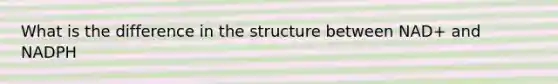 What is the difference in the structure between NAD+ and NADPH