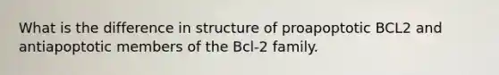 What is the difference in structure of proapoptotic BCL2 and antiapoptotic members of the Bcl-2 family.