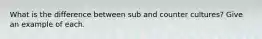 What is the difference between sub and counter cultures? Give an example of each.