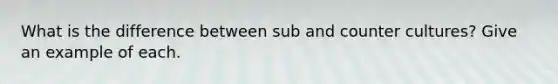 What is the difference between sub and counter cultures? Give an example of each.