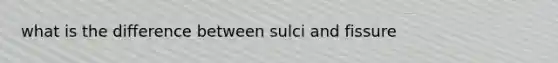 what is the difference between sulci and fissure