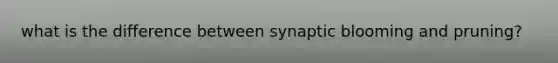 what is the difference between synaptic blooming and pruning?