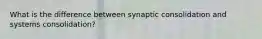 What is the difference between synaptic consolidation and systems consolidation?
