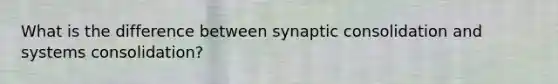 What is the difference between synaptic consolidation and systems consolidation?