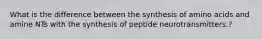 What is the difference between the synthesis of amino acids and amine NTs with the synthesis of peptide neurotransmitters.?