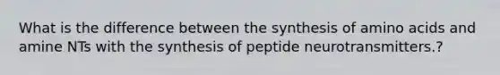 What is the difference between the synthesis of <a href='https://www.questionai.com/knowledge/k9gb720LCl-amino-acids' class='anchor-knowledge'>amino acids</a> and amine NTs with the synthesis of peptide neurotransmitters.?