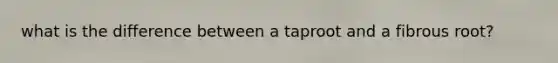 what is the difference between a taproot and a fibrous root?
