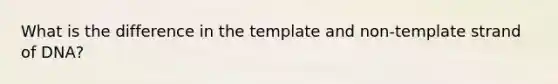 What is the difference in the template and non-template strand of DNA?