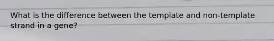 What is the difference between the template and non-template strand in a gene?