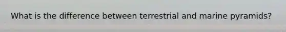 What is the difference between terrestrial and marine pyramids?