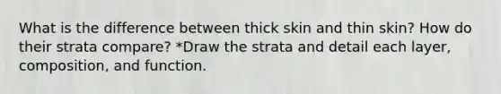 What is the difference between thick skin and thin skin? How do their strata compare? *Draw the strata and detail each layer, composition, and function.