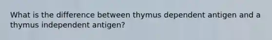 What is the difference between thymus dependent antigen and a thymus independent antigen?