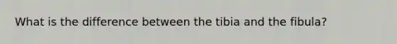 What is the difference between the tibia and the fibula?