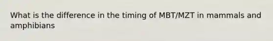 What is the difference in the timing of MBT/MZT in mammals and amphibians