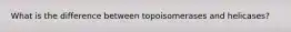 What is the difference between topoisomerases and helicases?