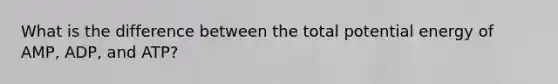 What is the difference between the total potential energy of AMP, ADP, and ATP?