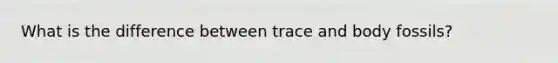 What is the difference between trace and body fossils?