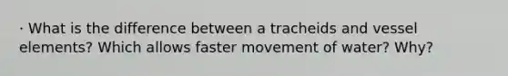 · What is the difference between a tracheids and vessel elements? Which allows faster movement of water? Why?