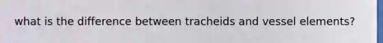 what is the difference between tracheids and vessel elements?