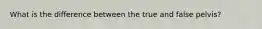 What is the difference between the true and false pelvis?