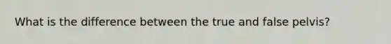 What is the difference between the true and false pelvis?