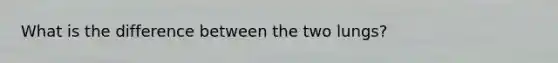 What is the difference between the two lungs?