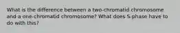 What is the difference between a two-chromatid chromosome and a one-chromatid chromosome? What does S-phase have to do with this?