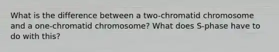 What is the difference between a two-chromatid chromosome and a one-chromatid chromosome? What does S-phase have to do with this?