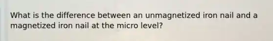 What is the difference between an unmagnetized iron nail and a magnetized iron nail at the micro level?