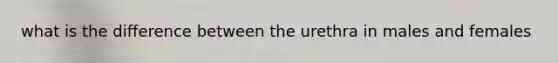 what is the difference between the urethra in males and females