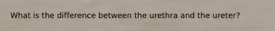 What is the difference between the urethra and the ureter?