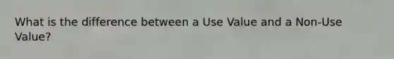 What is the difference between a Use Value and a Non-Use Value?