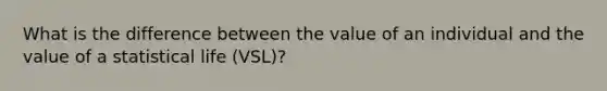 What is the difference between the value of an individual and the value of a statistical life (VSL)?