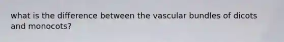 what is the difference between the vascular bundles of dicots and monocots?