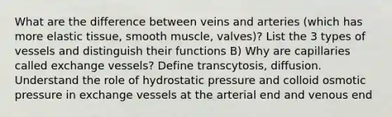 What are the difference between veins and arteries (which has more elastic tissue, smooth muscle, valves)? List the 3 types of vessels and distinguish their functions B) Why are capillaries called exchange vessels? Define transcytosis, diffusion. Understand the role of hydrostatic pressure and colloid osmotic pressure in exchange vessels at the arterial end and venous end