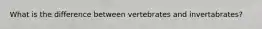 What is the difference between vertebrates and invertabrates?
