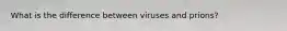 What is the difference between viruses and prions?