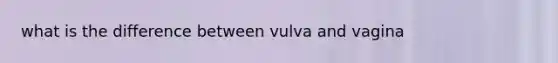 what is the difference between vulva and vagina